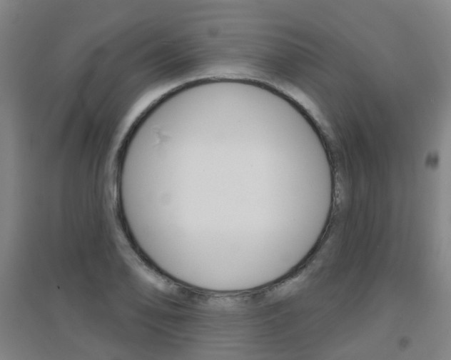 X0000094461078200711081053