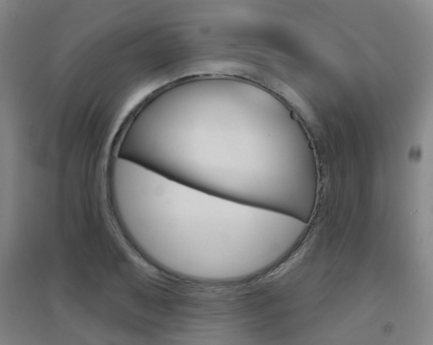 X0000094461079200711081053