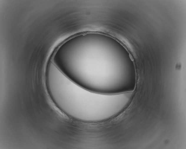 X0000094461080200711081053