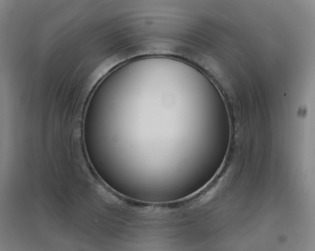 X0000094461081200711081053