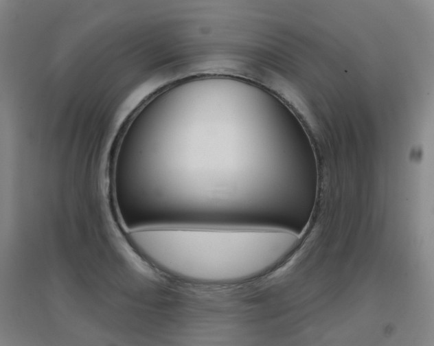 X0000094461082200711081053