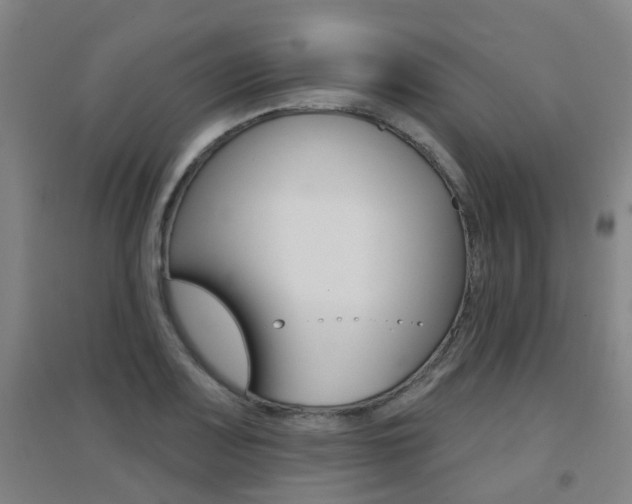 X0000094461083200711081053