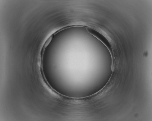 X0000094461084200711081053