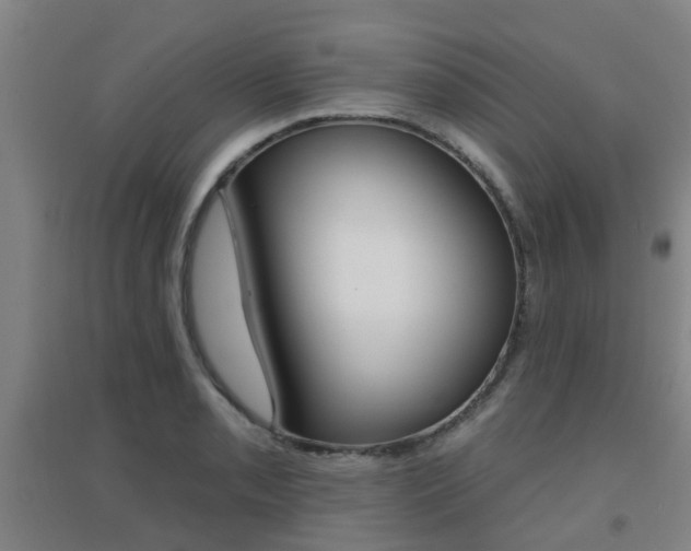X0000094461085200711081053