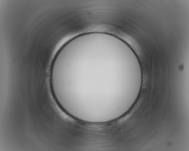 X0000094461086200711081053