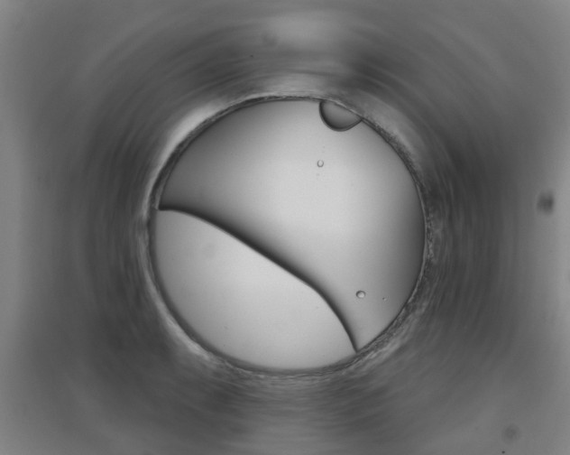 X0000094461087200711081053