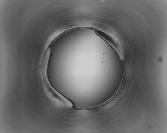 X0000094461088200711081053
