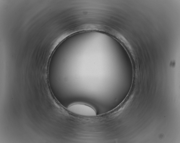 X0000094461089200711081053