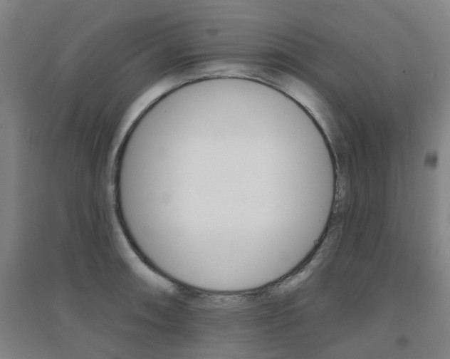 X0000094461090200711081053