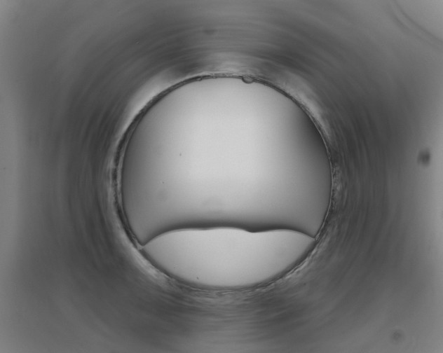 X0000094461091200711081053
