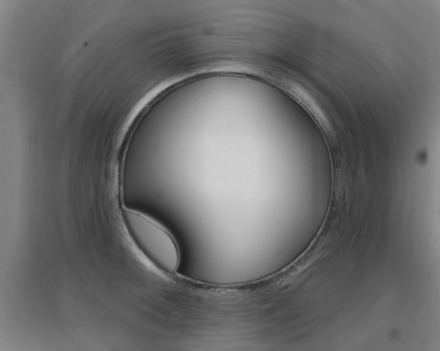 X0000094461092200711081053