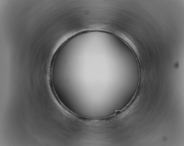 X0000094461093200711081053