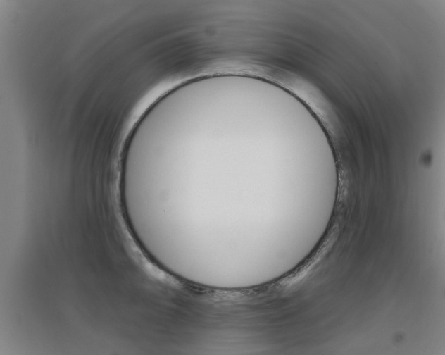 X0000094461094200711081053