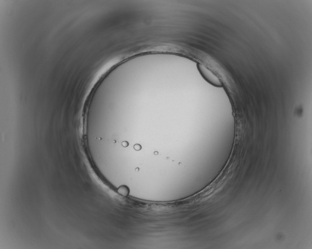 X0000094461095200711081053