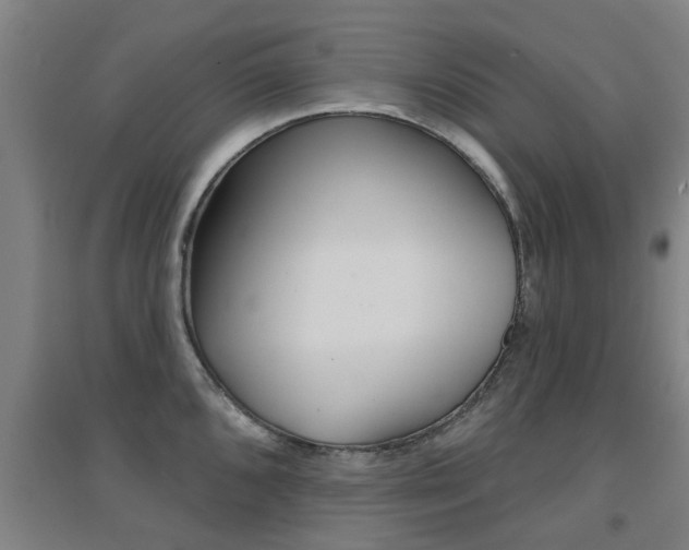X0000094461096200711081053