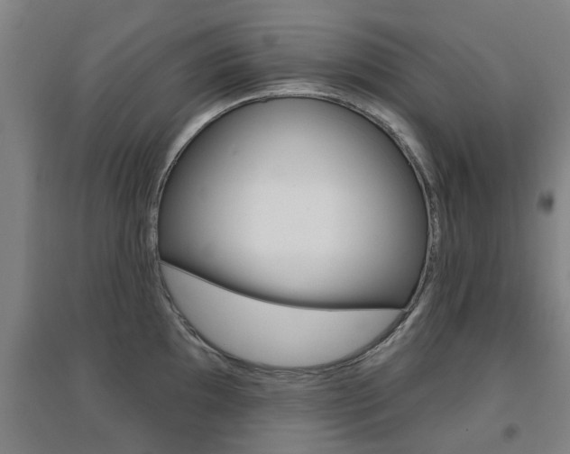 X0000094461097200711081053