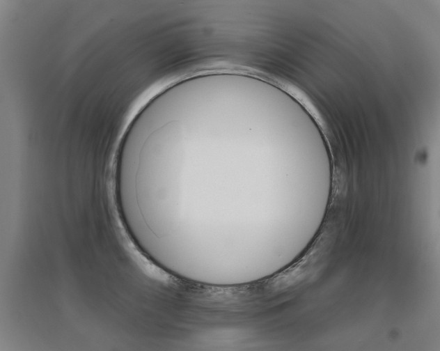 X0000094461098200711081053