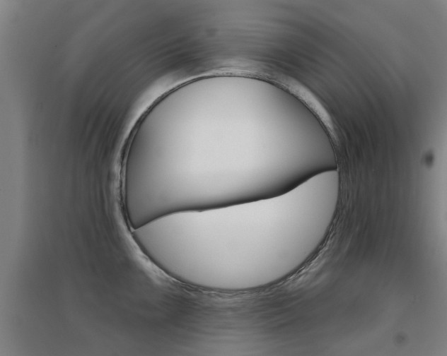 X0000094461099200711081053