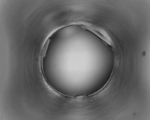 X0000094461100200711081053