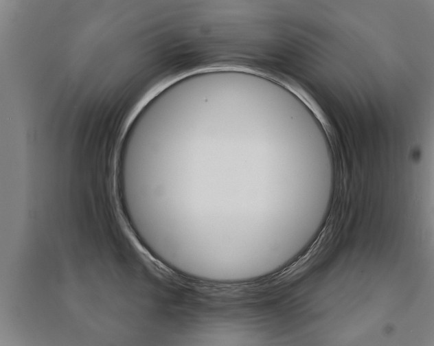 X0000094461101200711081053