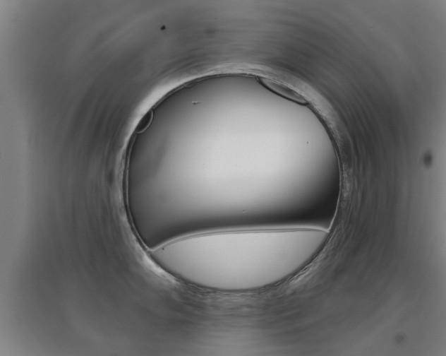 X0000094461102200711081053