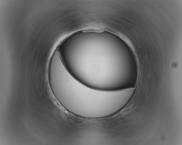 X0000094461104200711081053