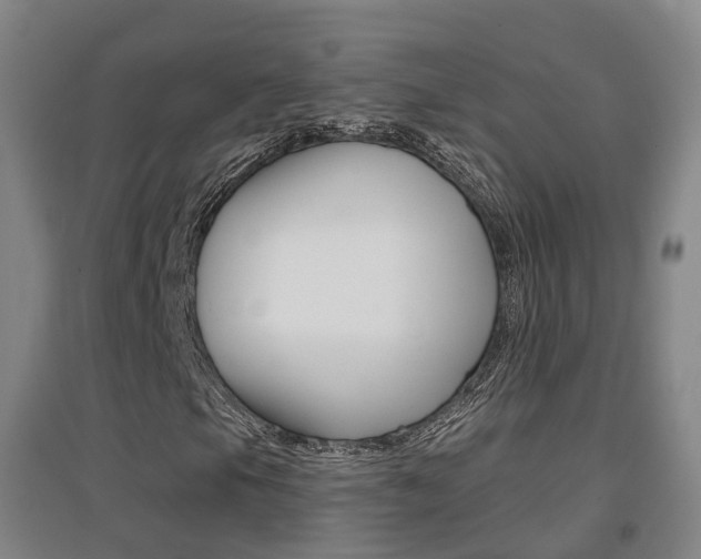 X0000094461105200711081052