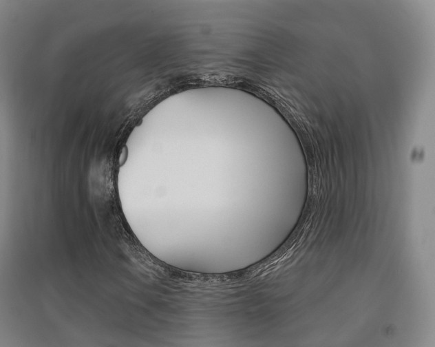 X0000094461106200711081052