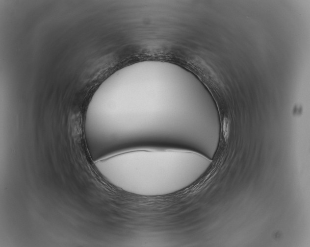 X0000094461107200711081052