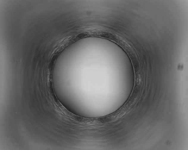 X0000094461108200711081052