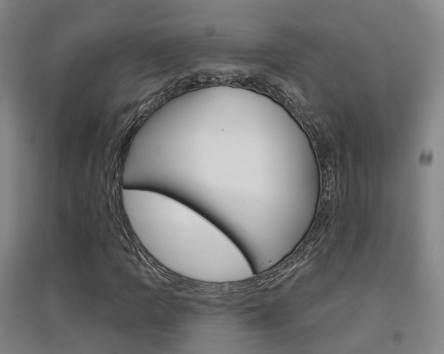 X0000094461109200711081052