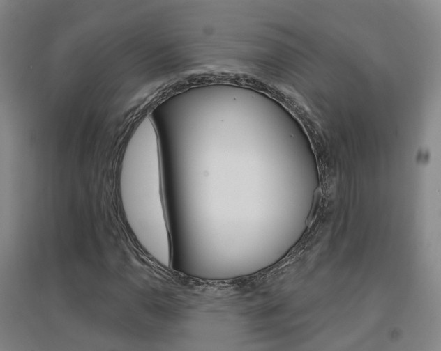 X0000094461110200711081052