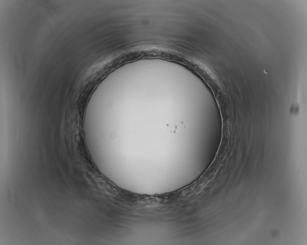 X0000094461111200711081052