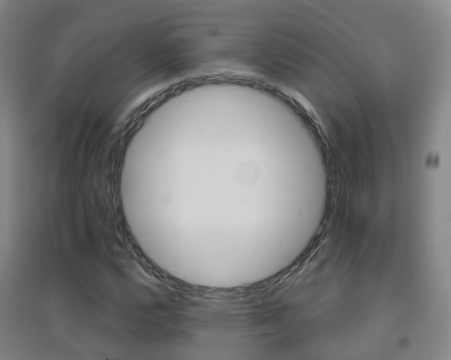 X0000094461112200711081052