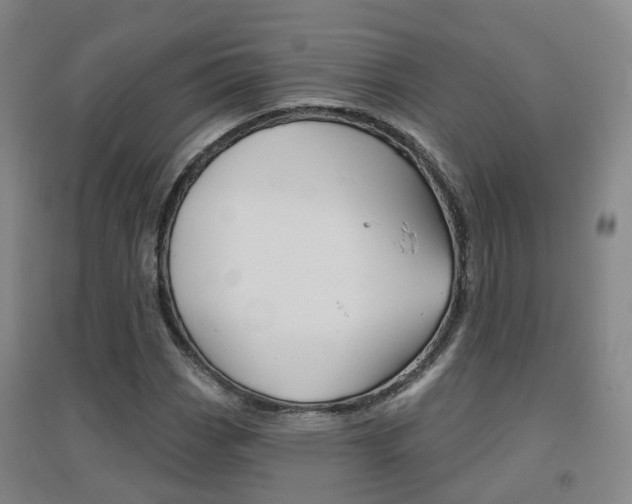 X0000094461113200711081052