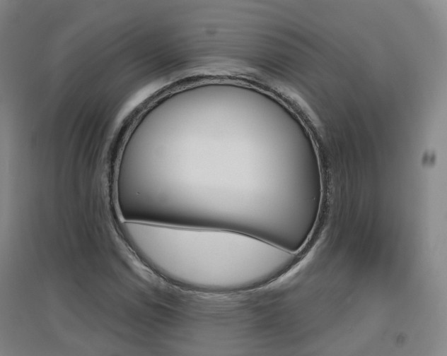 X0000094461114200711081052