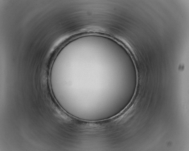X0000094461115200711081052