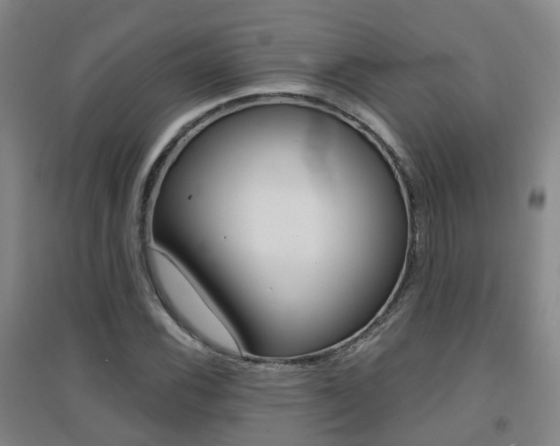 X0000094461116200711081052