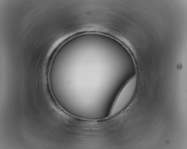X0000094461120200711081052