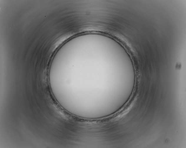 X0000094461121200711081052