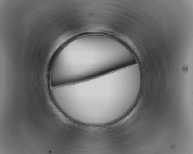 X0000094461122200711081052