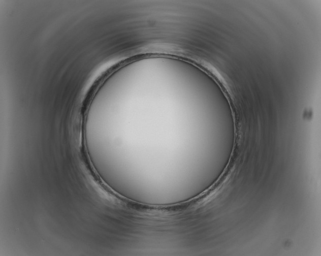 X0000094461123200711081052