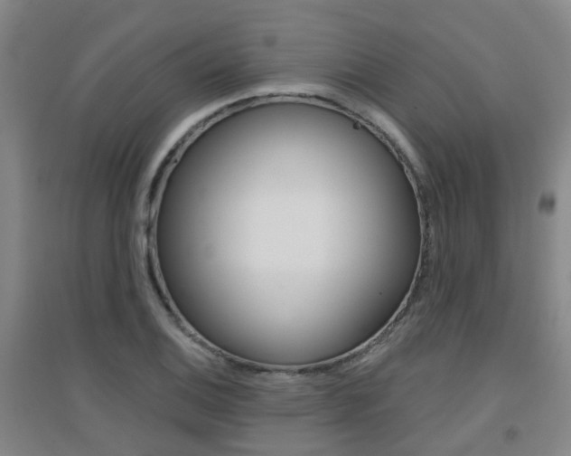 X0000094461124200711081053