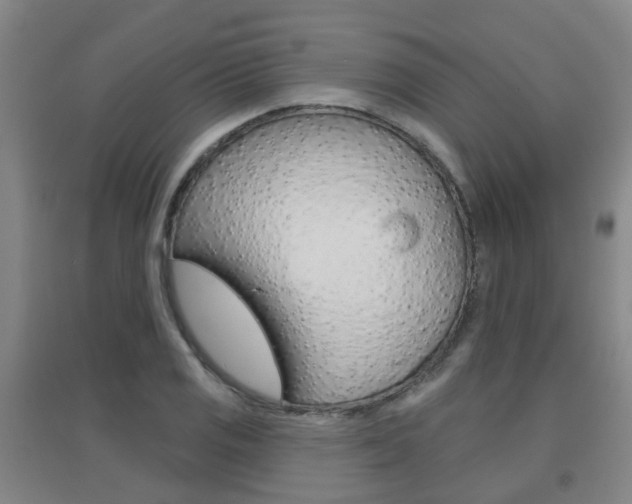 X0000094461125200711081053
