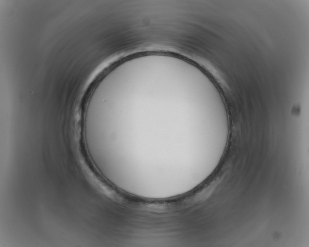 X0000094461126200711081053