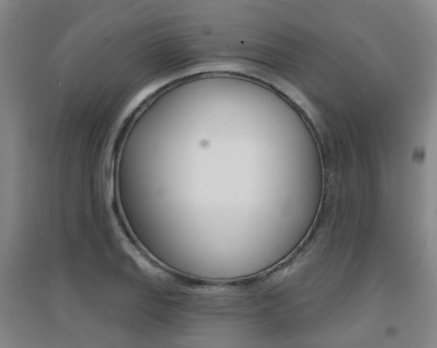 X0000094461127200711081053