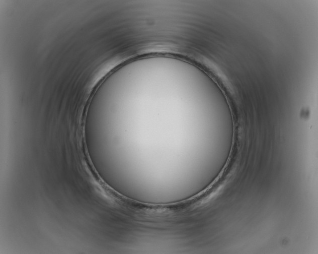 X0000094461129200711081053
