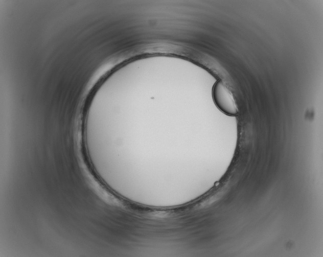 X0000094461130200711081053
