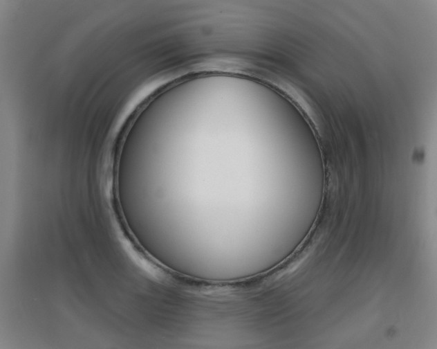 X0000094461131200711081053