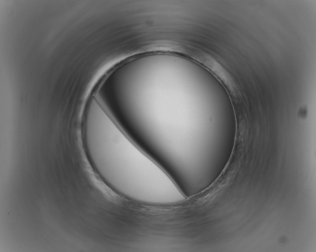 X0000094461132200711081053